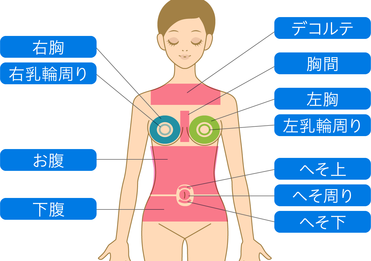 ボディ表パーツ